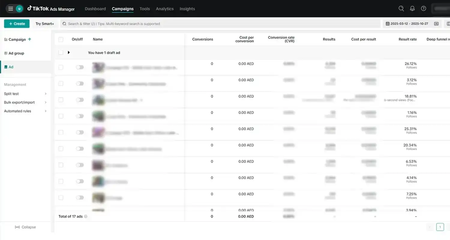 TikTok Ads Optimization - Ad Performance